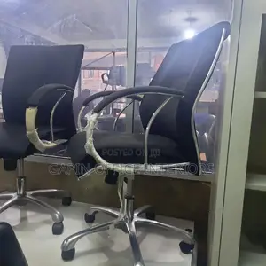 Office Chairs (Brand New) 2 Pieces