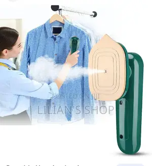 Professional Steam and Dry Iron