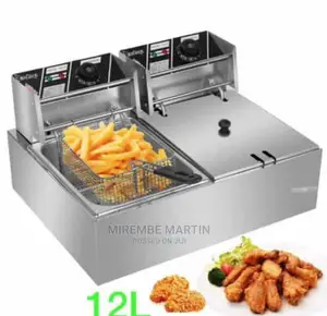 Double Electric Deep Fryer