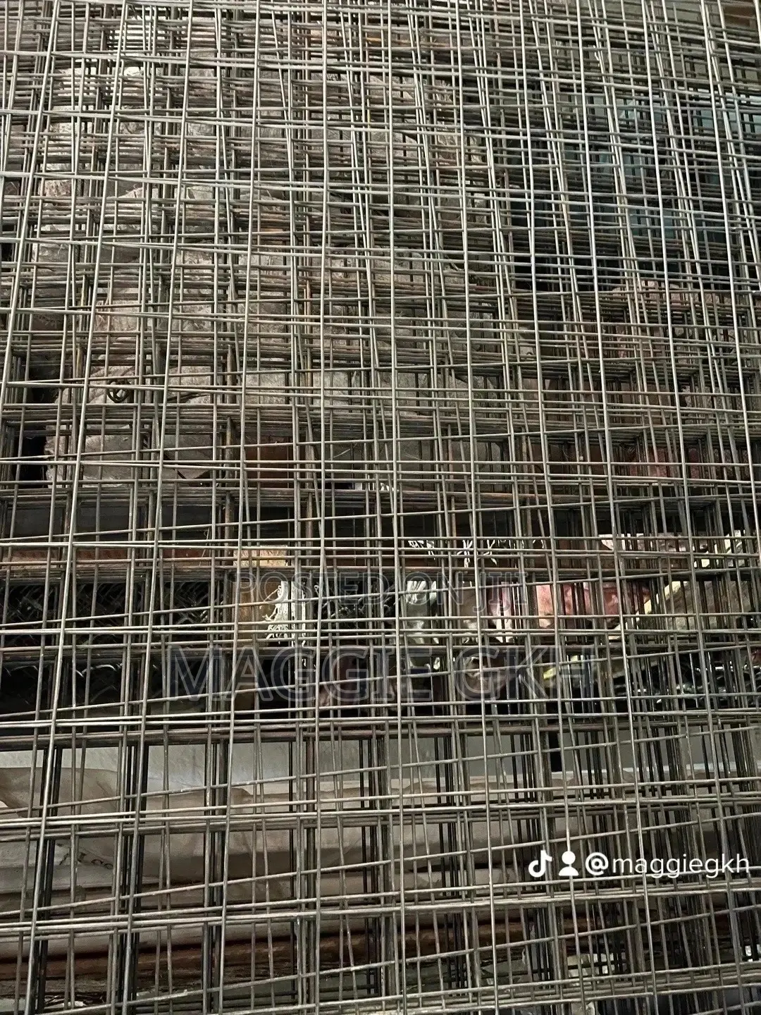 Wire Mesh / Welded Mesh