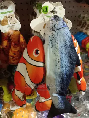 Fish Shape Toys
