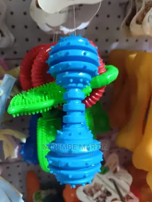Dog Play Toy