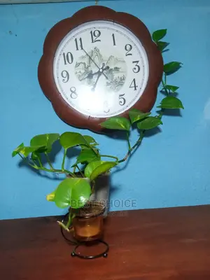 Money Plant