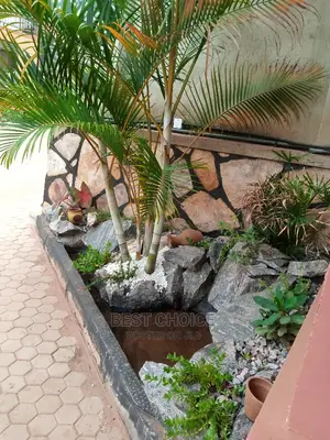 Out Door Decoration With Green Nature