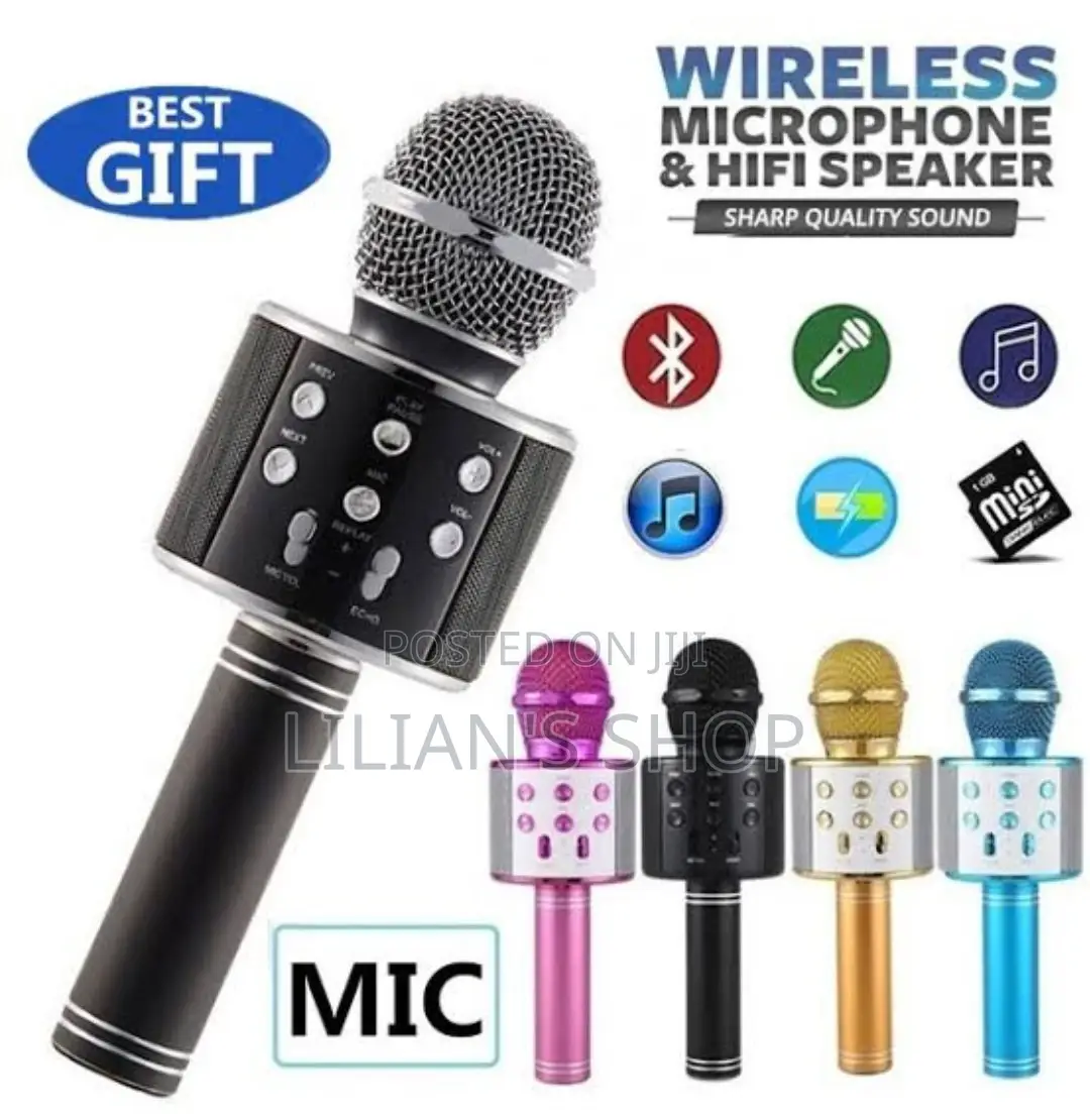 Handheld Wireless Microphone and Hifi Speaker