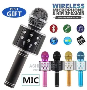 Handheld Wireless Microphone and Hifi Speaker