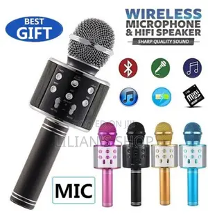 Handheld Wireless Microphone and Hifi Speaker