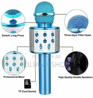 Handheld Wireless Microphone and Hifi Speaker