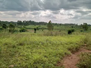 Land for Sale in Mukono - Katoogo