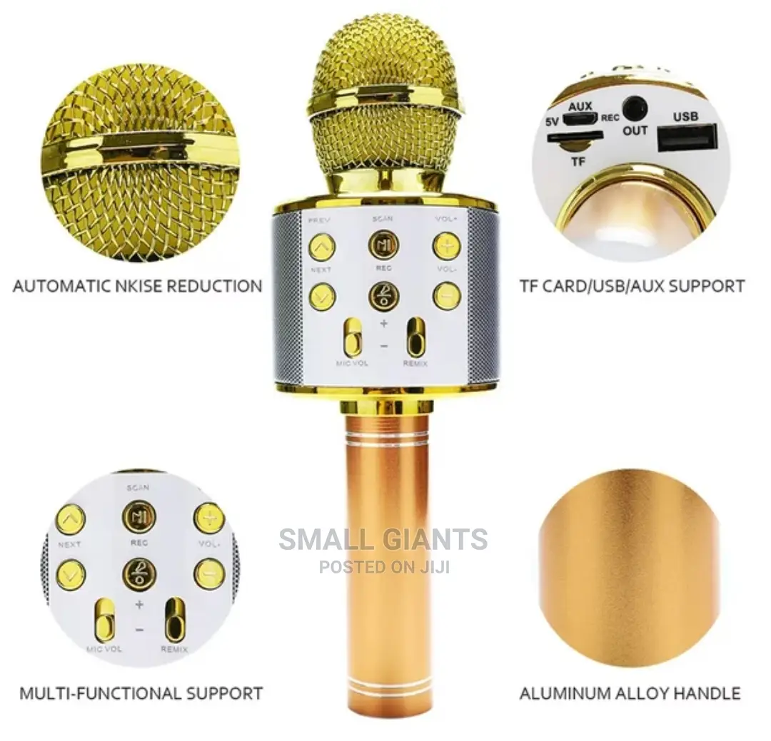 Handheld KTV Wireless Microphone