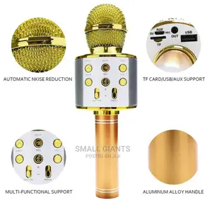 Handheld KTV Wireless Microphone