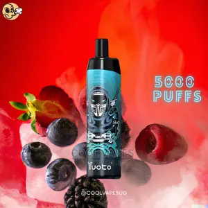 Youto 5000 Puffs Rechargable Vape