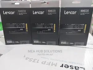 256 Lexar Nvme SSD
