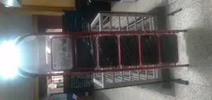 6 Steps House Hold Ladder