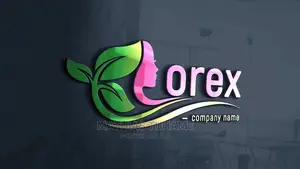 Professional Logo Design
