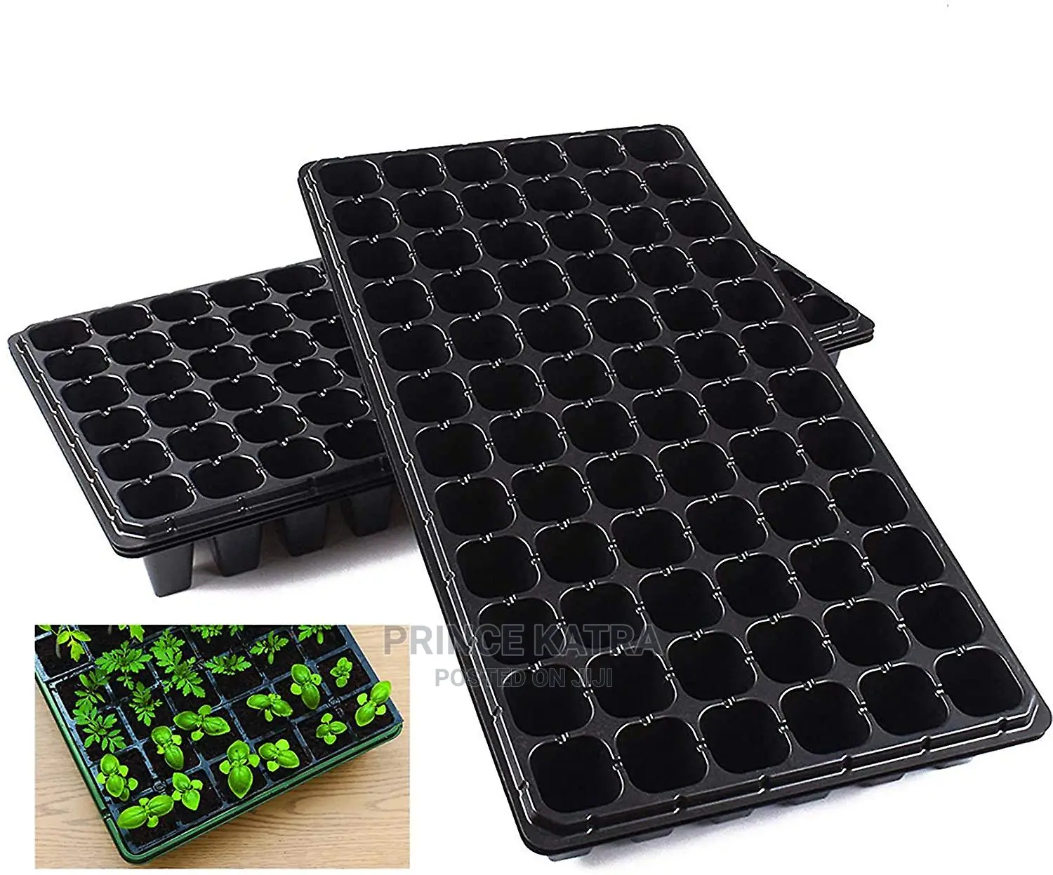 Seedling Trays