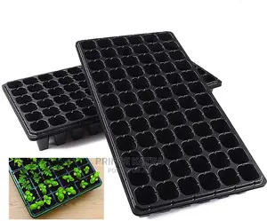 Seedling Trays