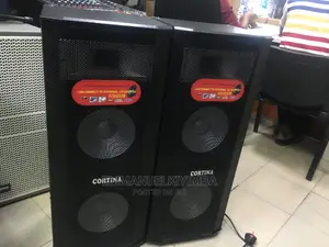 Cotina Double Amplified Speaker