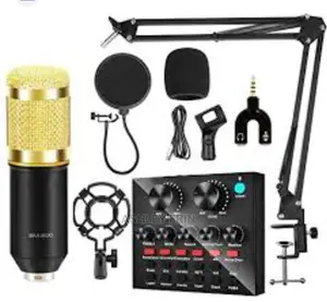 Professional Condenser Microphone