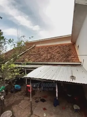 Roof Cleaning, Paver Laying, Paver Alignment
