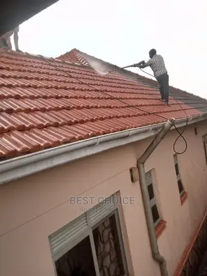 Roof Cleaners (Trustworthy Cleaners)