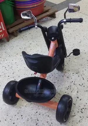 Tri Cycle Kids Bicycle