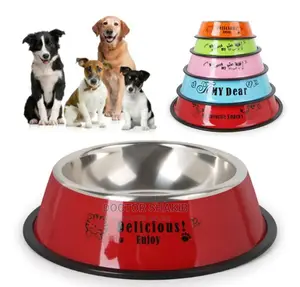 Pet Feeding Dish