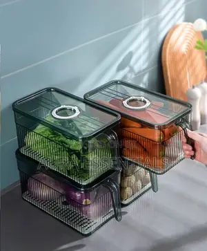 Large Capacity Plastic Kitchen Storage Box