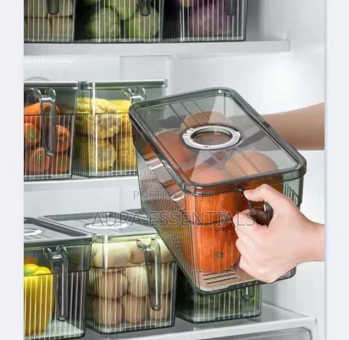 Large Capacity Plastic Kitchen Storage Box