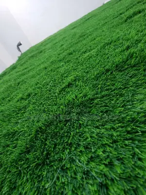 Grass Carpet/Artificial Turf Grass