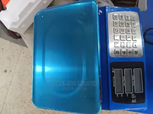 Kitchen Computer Scale