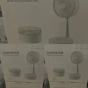 Folding Fan
