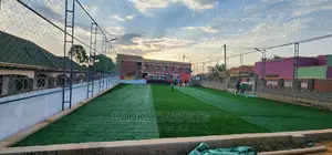 Artificial Grass Carpets