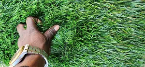 Artificial Grass Carpets