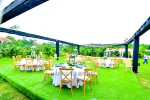 Artificial Grass Carpets