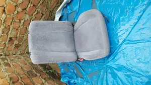 Professional Car Seats Cleaners