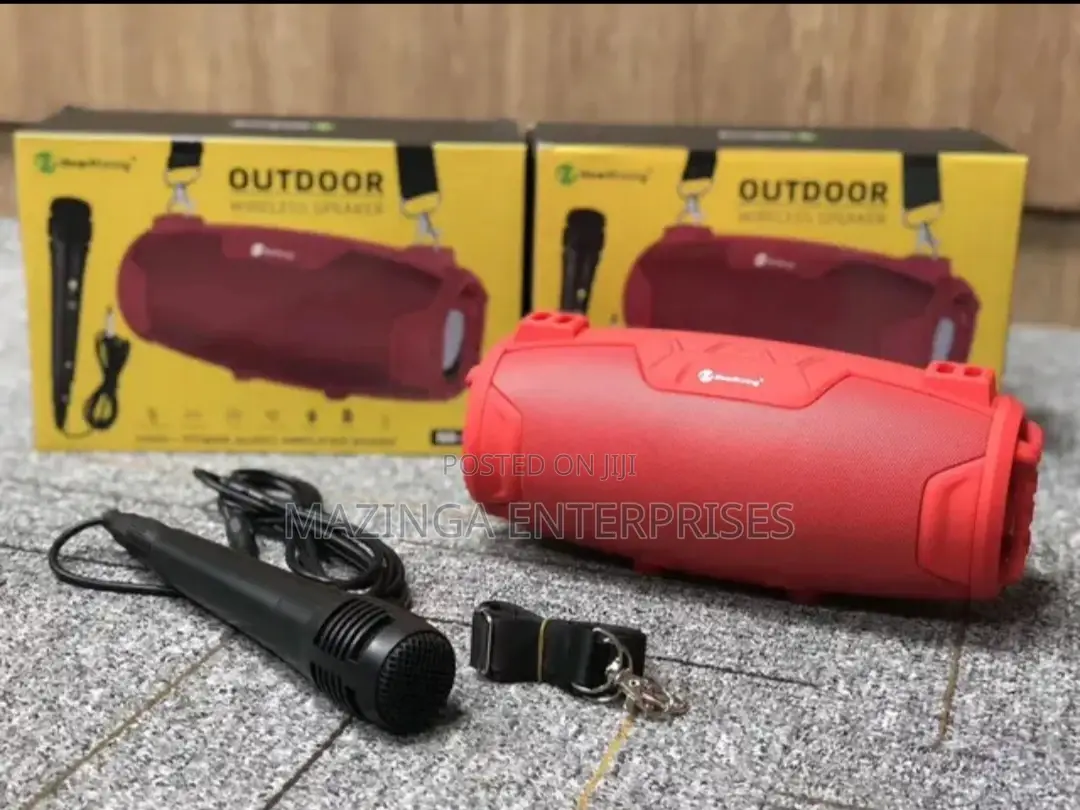 New Rexing Wireless Bluetooth Speaker With Microphone