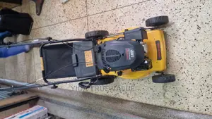 Gasoline Mower Heavy Duty