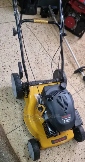 Gasoline Mower Heavy Duty