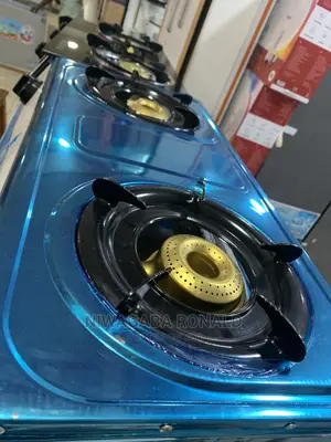 Stainless Steel Double Gas Stove