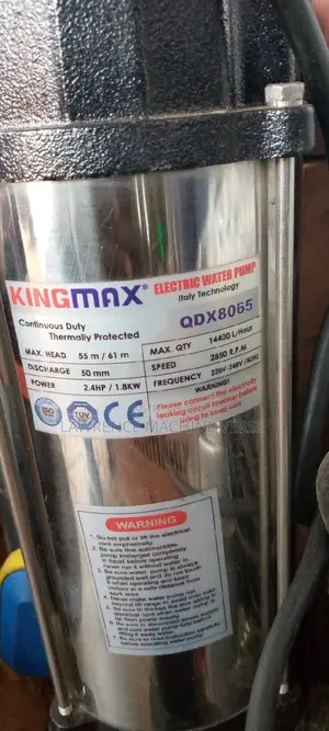 King Max Electric Pump