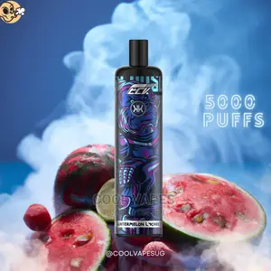 KK Energy 5000 Puffs Vape