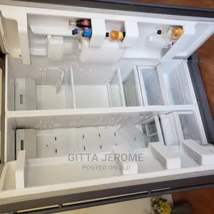 Professional Fridge Repair Expert