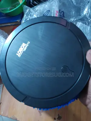Mopping Big Robot
