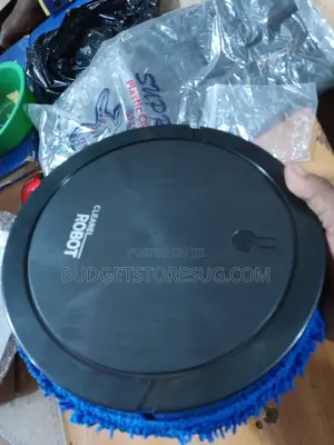 Mopping Big Robot