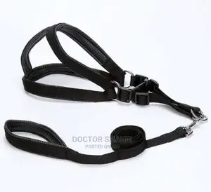 Dog Harness With Leach S,M,Xl All Sizes