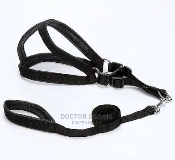 Dog Harness With Leach S,M,Xl All Sizes