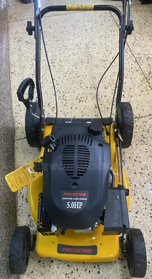 Gasoline Mower Heavy Duty