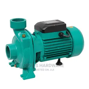 2hp Surface Water Pump