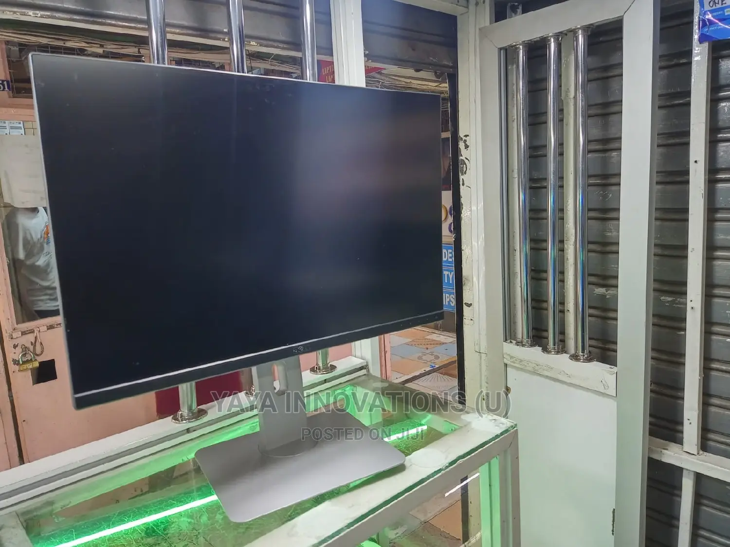 Dell 24 Inch Monitor IPS